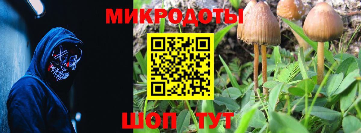 Нижнекамск  Галлюциногенные грибы прущие грибы  Вход с VPN 